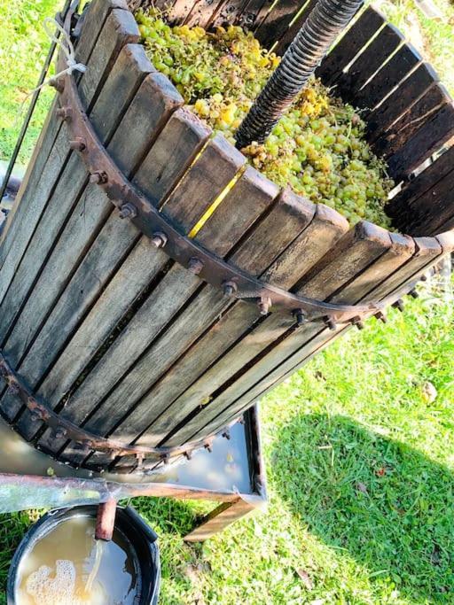 La-Marti, Idyllische Unterkunft Mit Kamin Bagdati Esterno foto